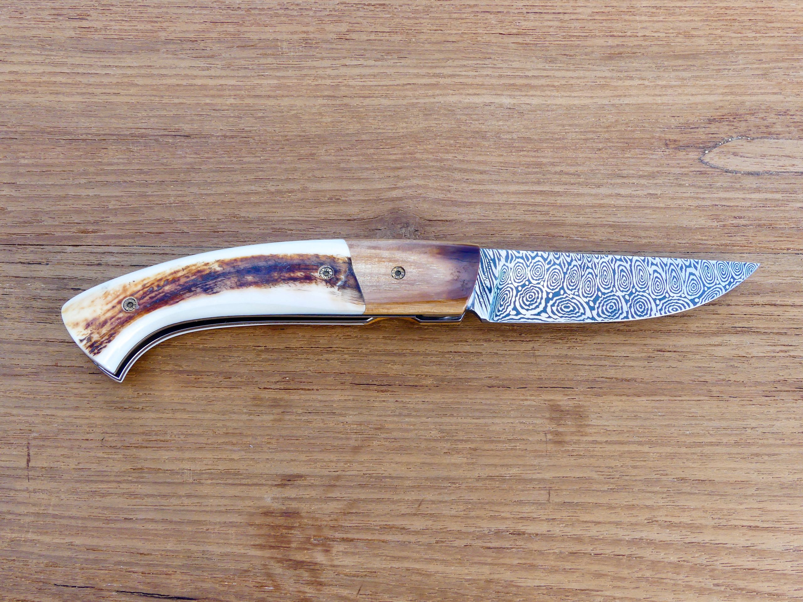 Le 1515 "Mammouth/Phaco - Damas" – Image 3