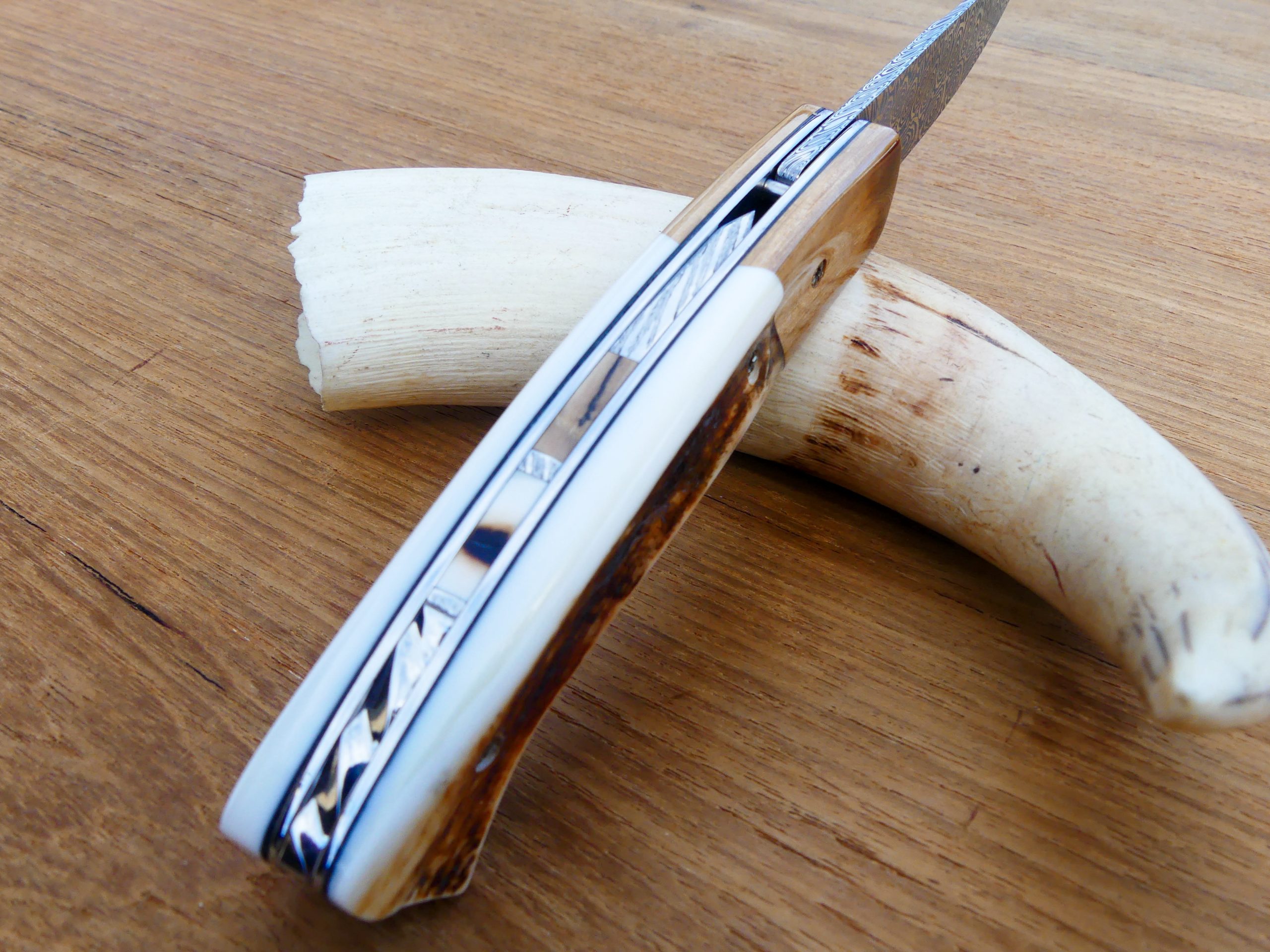 Le 1515 "Mammouth/Phaco - Damas"