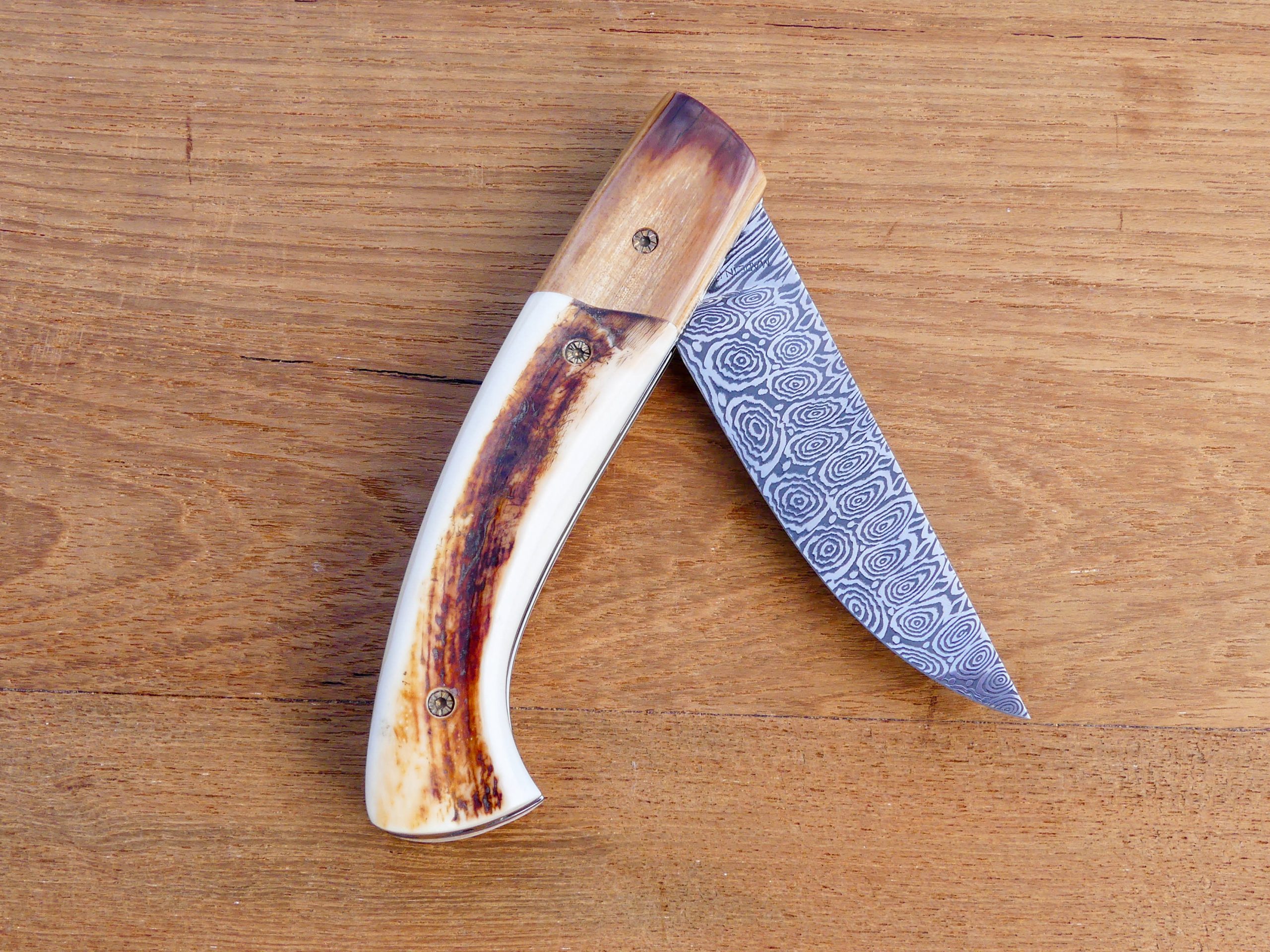 Le 1515 "Mammouth/Phaco - Damas" – Image 7