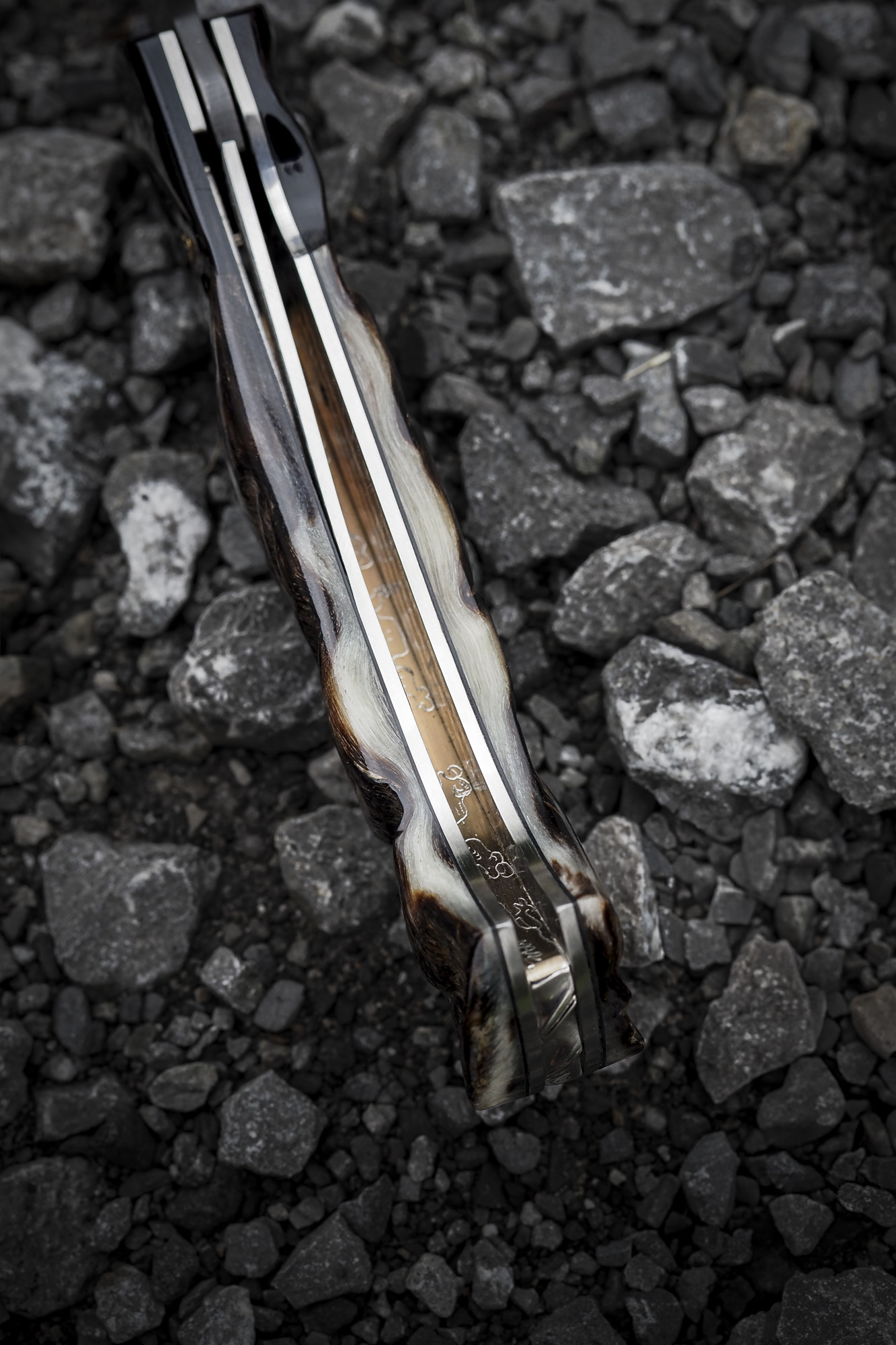 Le 1515 "Impala - Mouflon" – Image 4