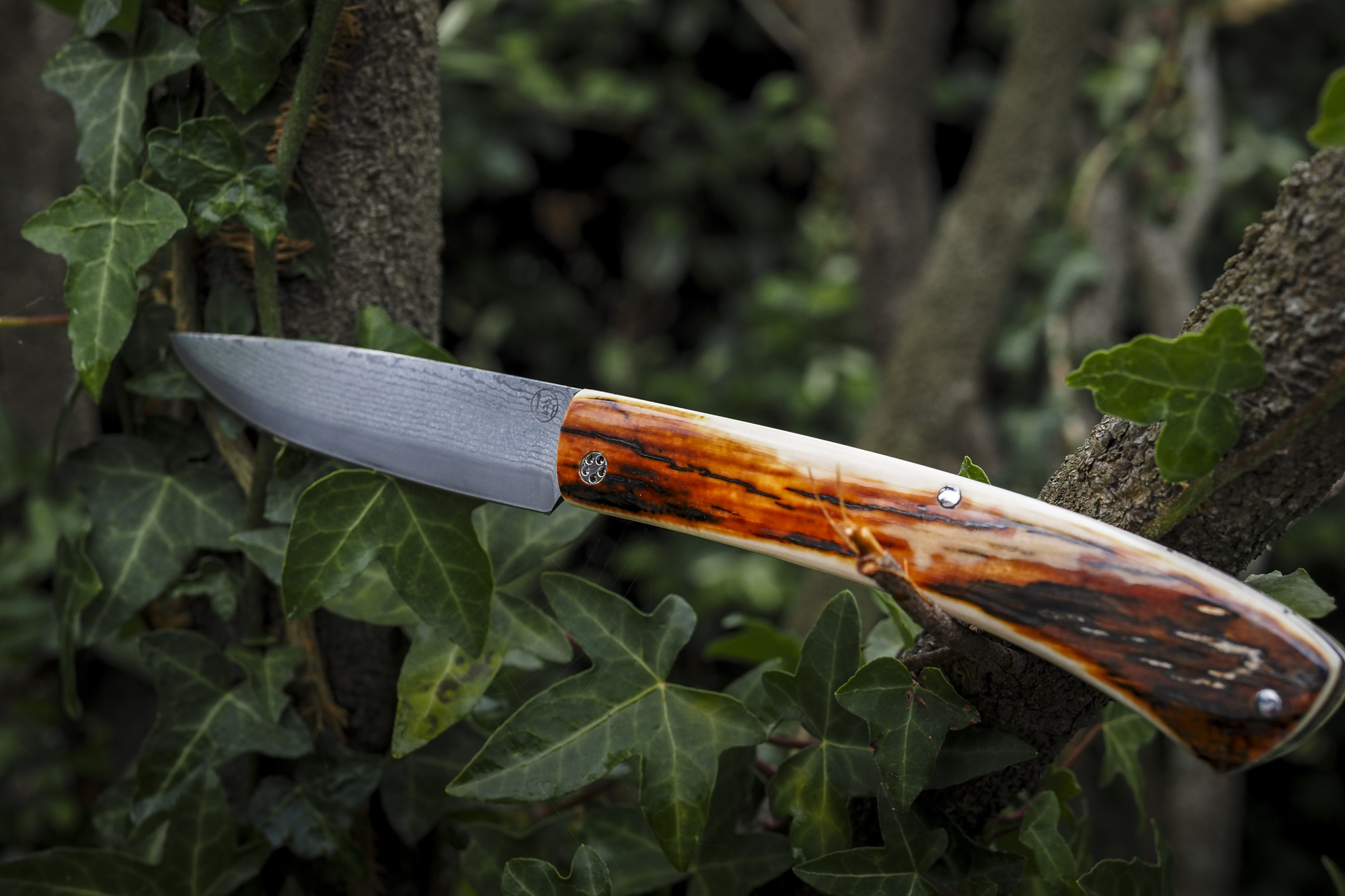 Le Pastelier "Ivoire de Mammouth-Damas" – Image 4