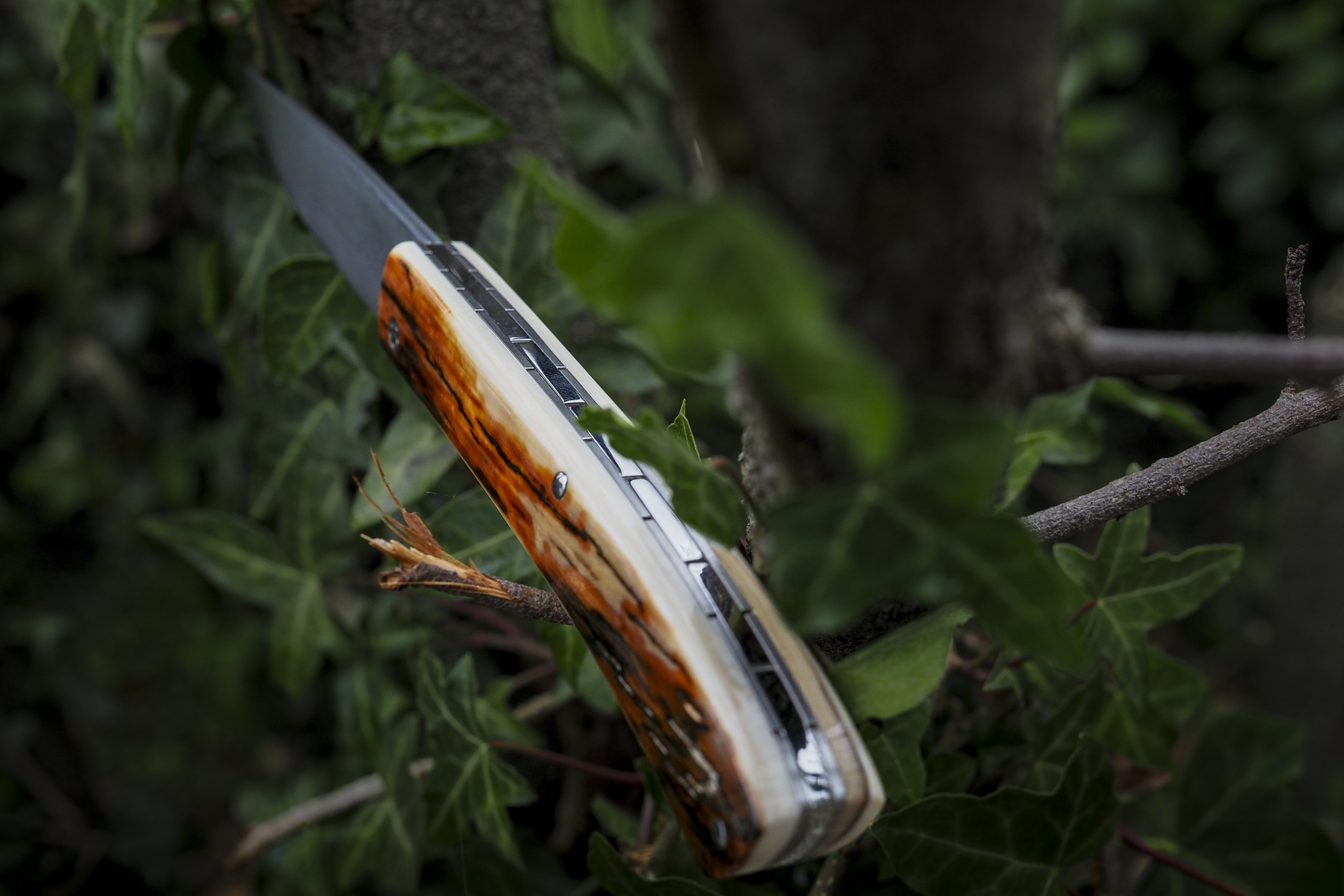 Le Pastelier "Ivoire de Mammouth-Damas" – Image 2