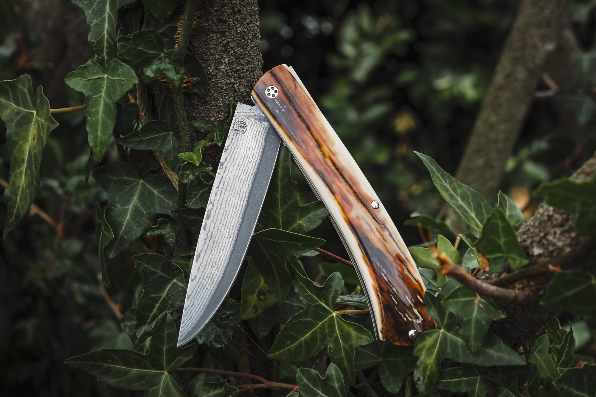 Le Pastelier "Ivoire de Mammouth-Damas"