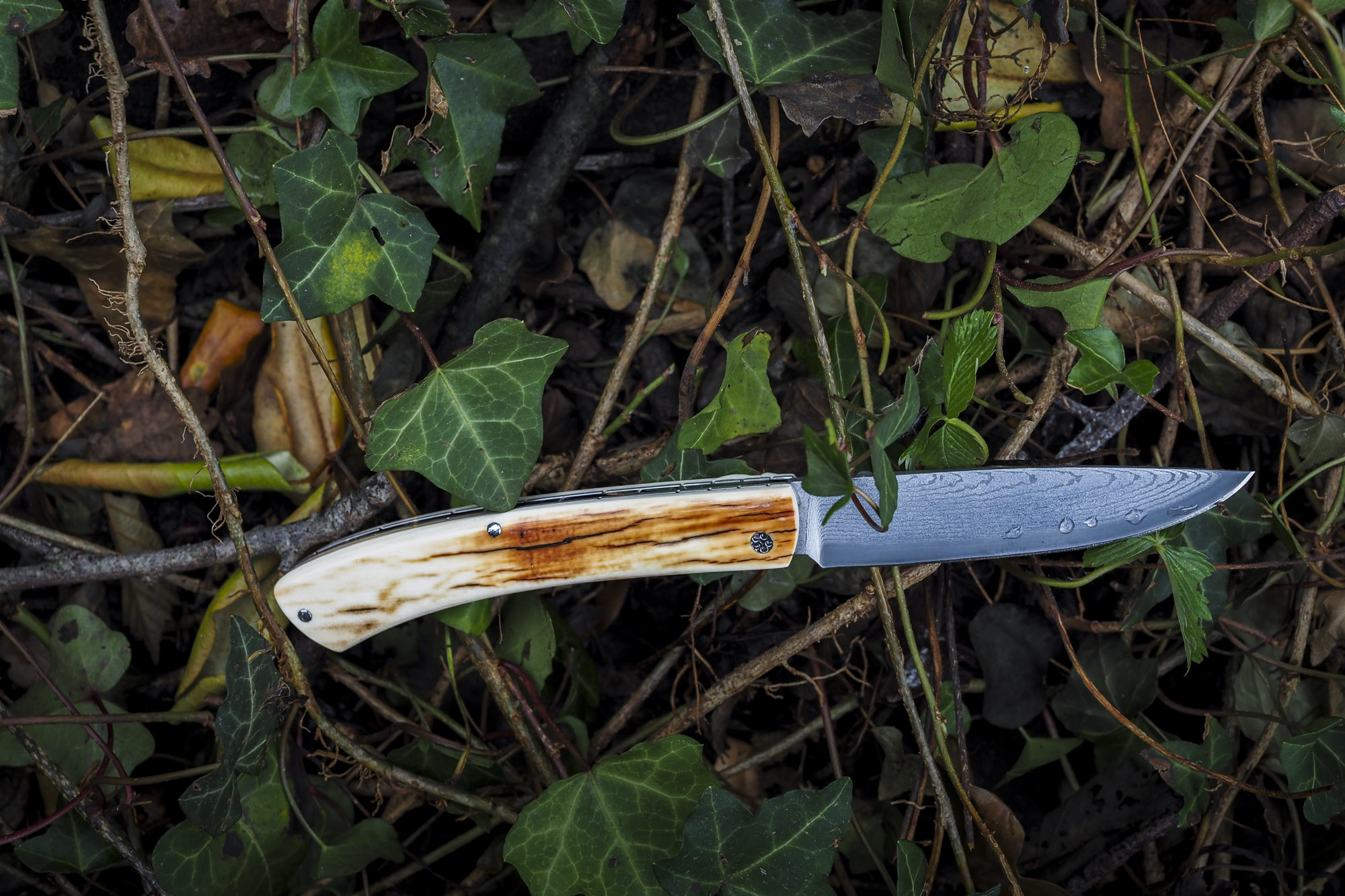 Le Pastelier "Ivoire de Mammouth-Damas" – Image 3